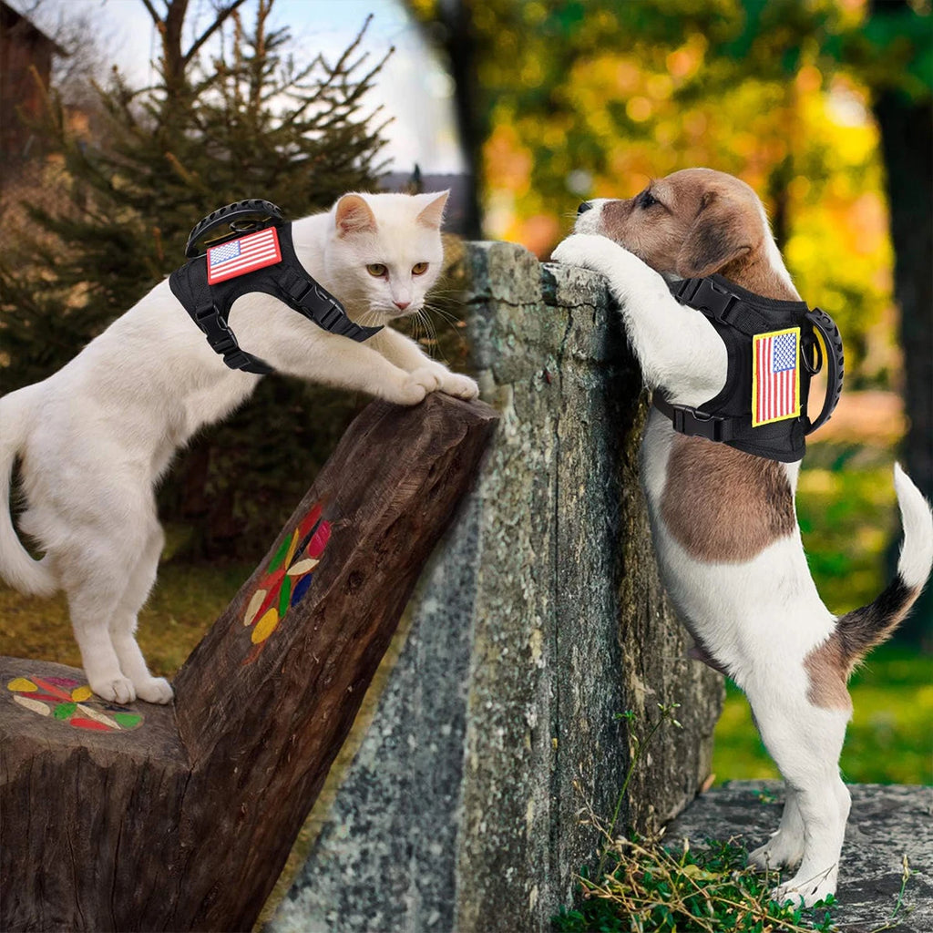 A63f4af0e4f58406d9ec00a59b0d5e42aK - Pet Centric