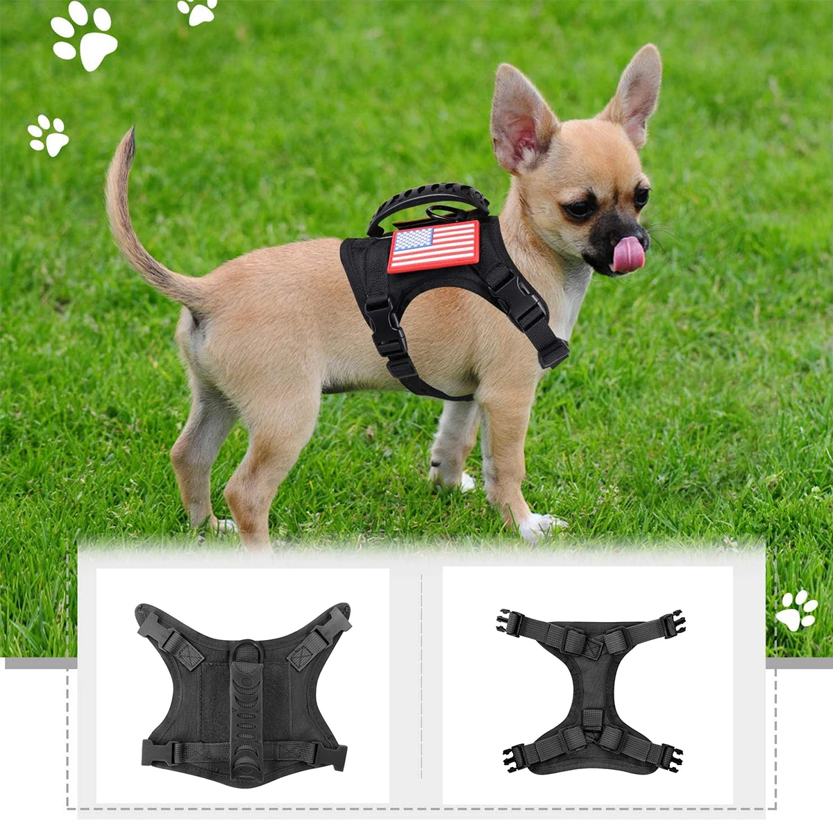 A83f2c133a5b34b4f8c6b0f677ef3fa056 - Pet Centric