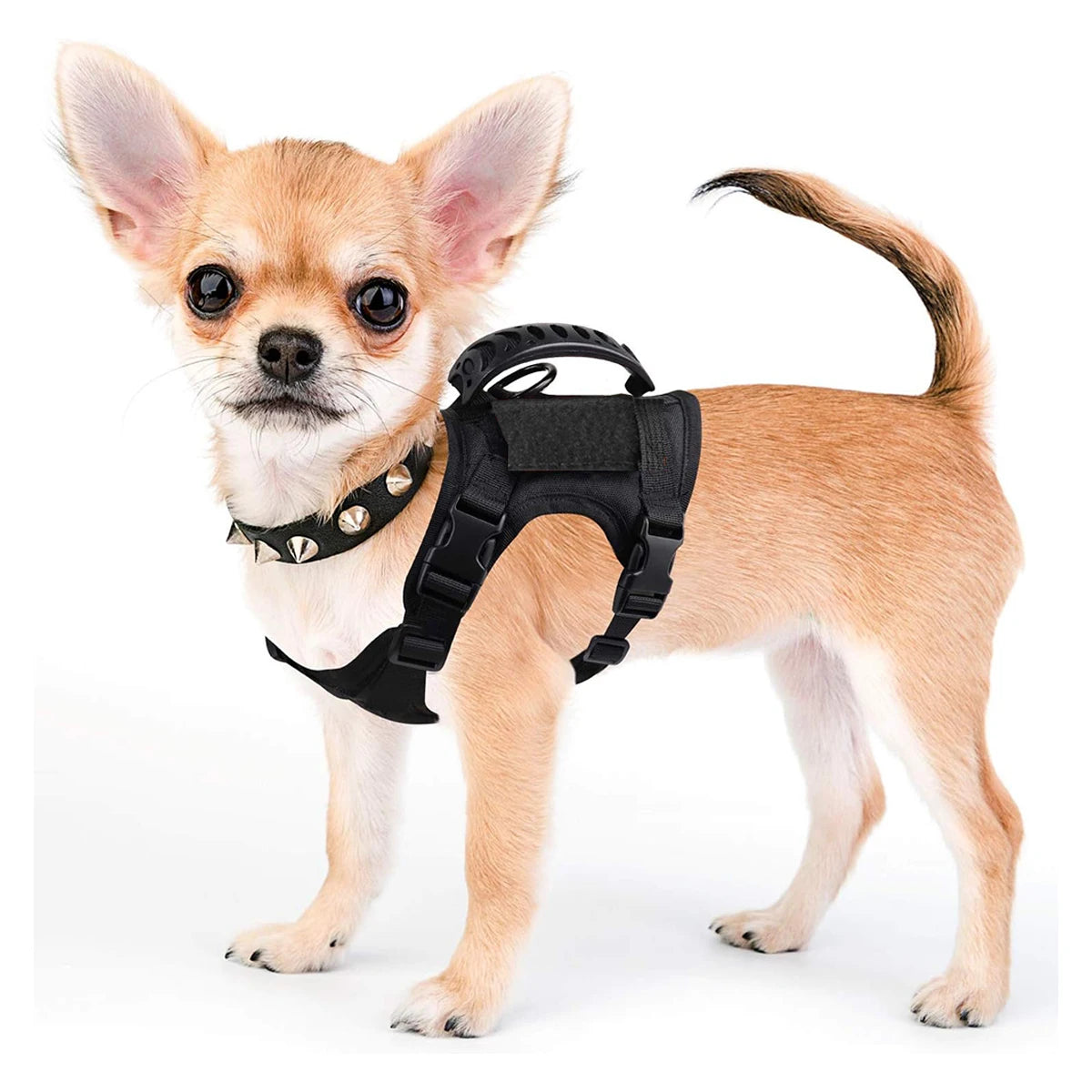 Acd570ce810644958a61e3c1cdbc4ec28N - Pet Centric