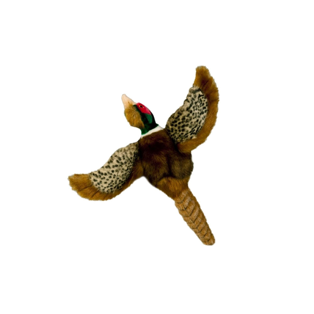 Dog-Plush-Toy-Pheasant-Squeaky-Interactive-Small-Life-Like-Bird-Puppy-Play-3 - Pet Centric