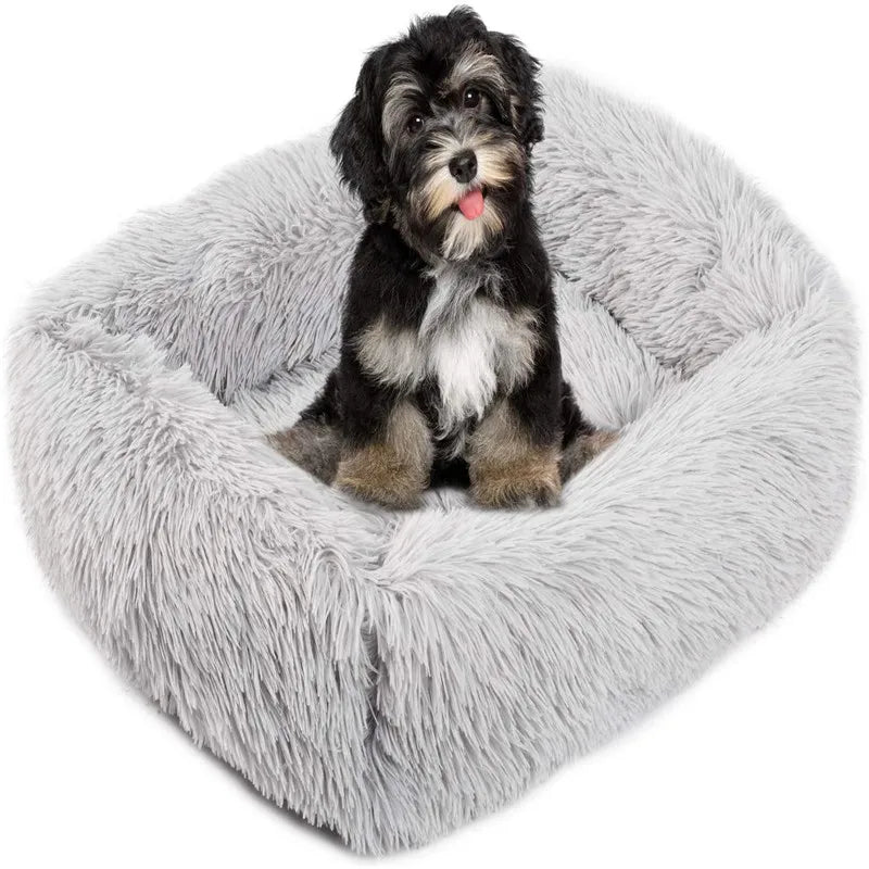 H3ed90caea7e74d308e55bd92733aac46t - Pet Centric
