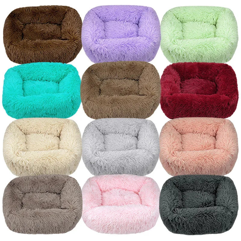 H412f5dfc924c451d9b95c0b38f239802W - Pet Centric