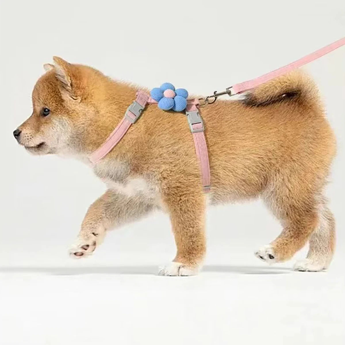 S02f00dc7f3254b6982d2521412b26442g - Pet Centric