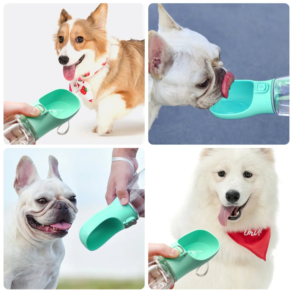 S04540aa28ccf4322a79c4037ea41ca04G - Pet Centric