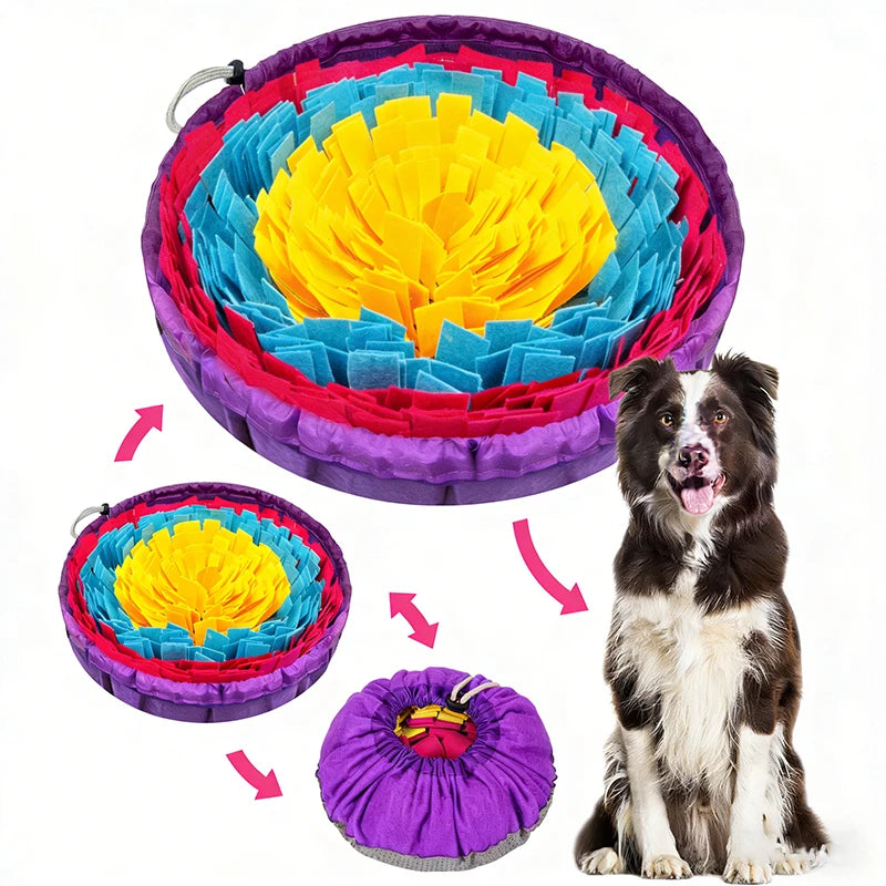 S0c490b5d9b1e4c4eadf72d93aa3a0d75z - Pet Centric