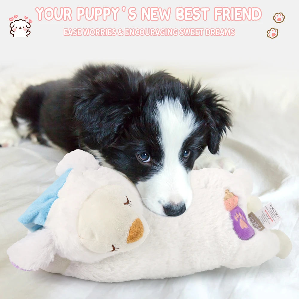 S0e5c958f613a45e8b7a46d28fe201d9by - Pet Centric