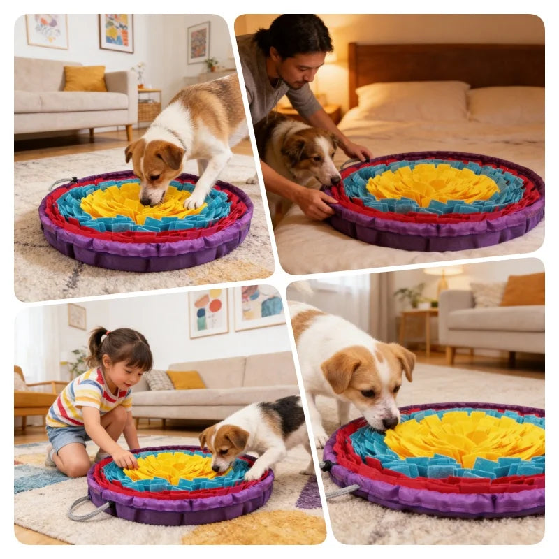 S101f08a2b0724ac2941419747f0154b5f - Pet Centric