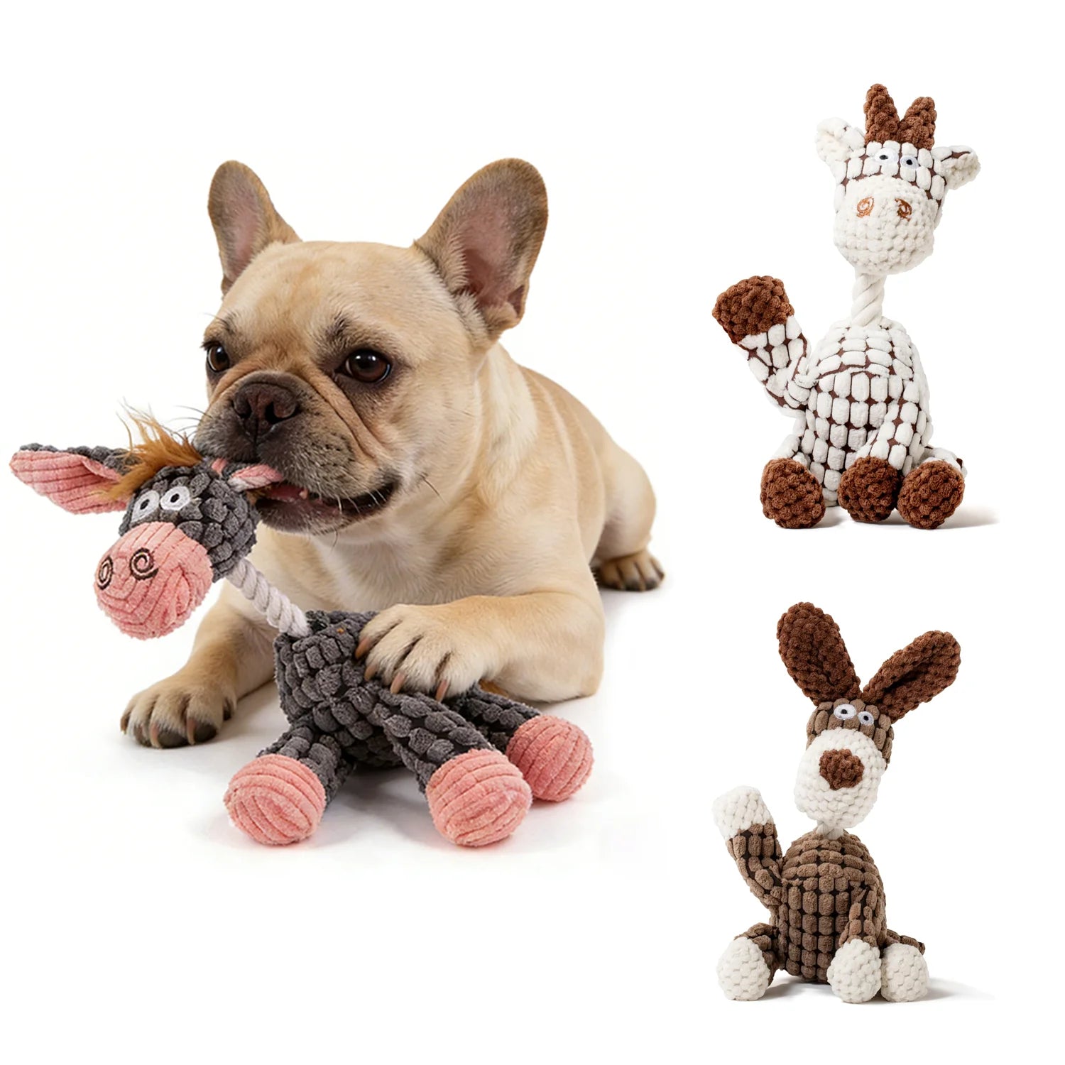 S155e4ddee5f64b04870a6fef6ab22eebw - Pet Centric