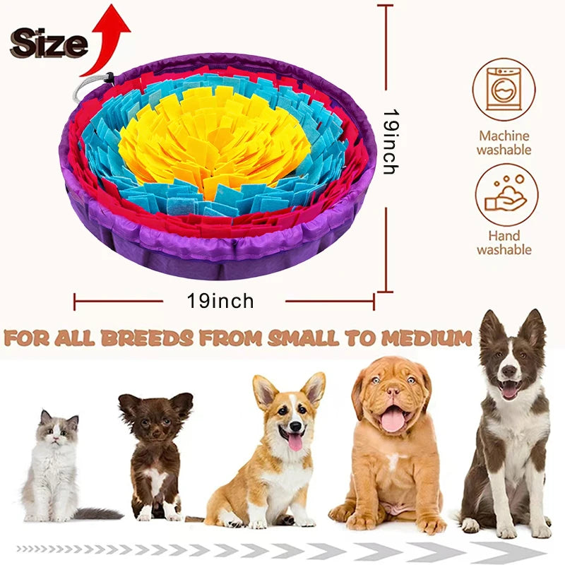 S1a3ffd63a362482a85e30f97de7f13d9A - Pet Centric