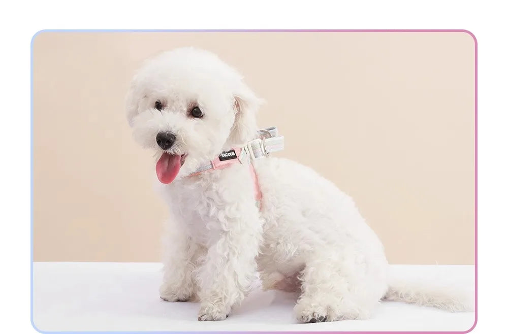 S1b75edfa6b0f4886b3132a8d27f80f2bF - Pet Centric