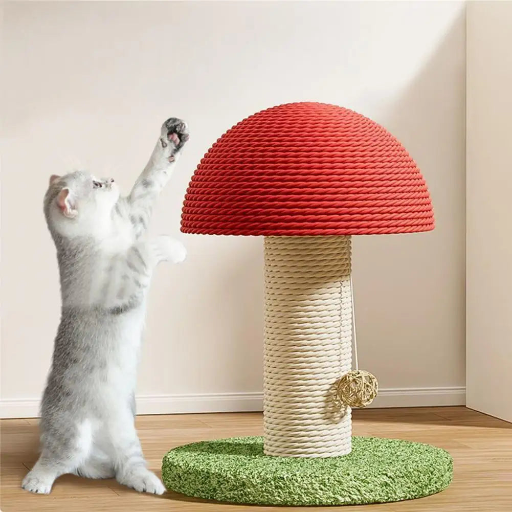 S1d3fb0f52c954b4cbd81660105b50f6ee - Pet Centric