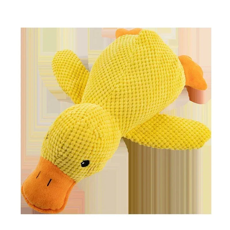S24d46a30e6b640fa8878f67b05a7c0380 - Pet Centric