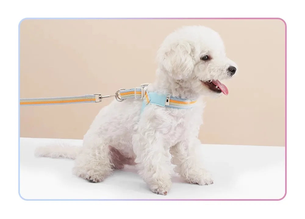 S2503de28b26a4bd0bd029c1214eeb9193 - Pet Centric