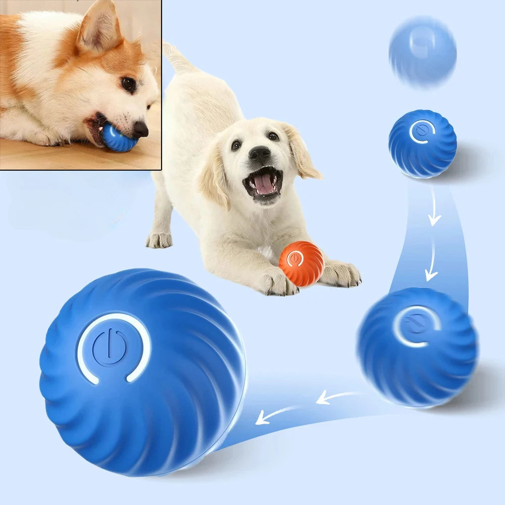 S27fd76db3fc14fb8914fce63cb63d825E - Pet Centric
