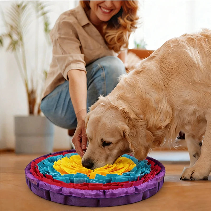 S28923582b1294caebcb2554880940ba3Q - Pet Centric