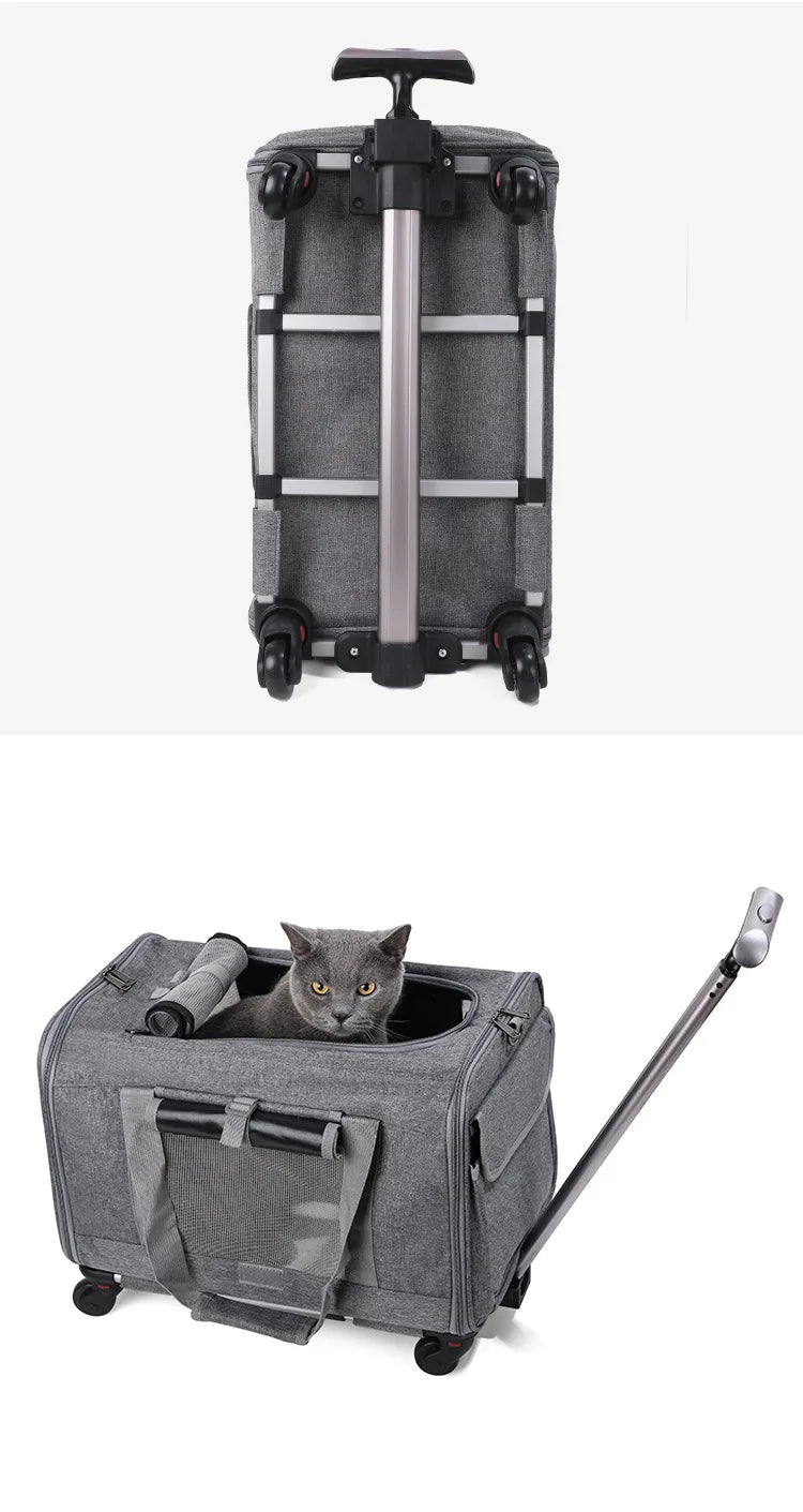 S290651346e84482fb8d15482f97d04e0V - Pet Centric
