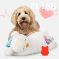 S2cb38beebe7d47878cbd5ba54efdedbas - Pet Centric