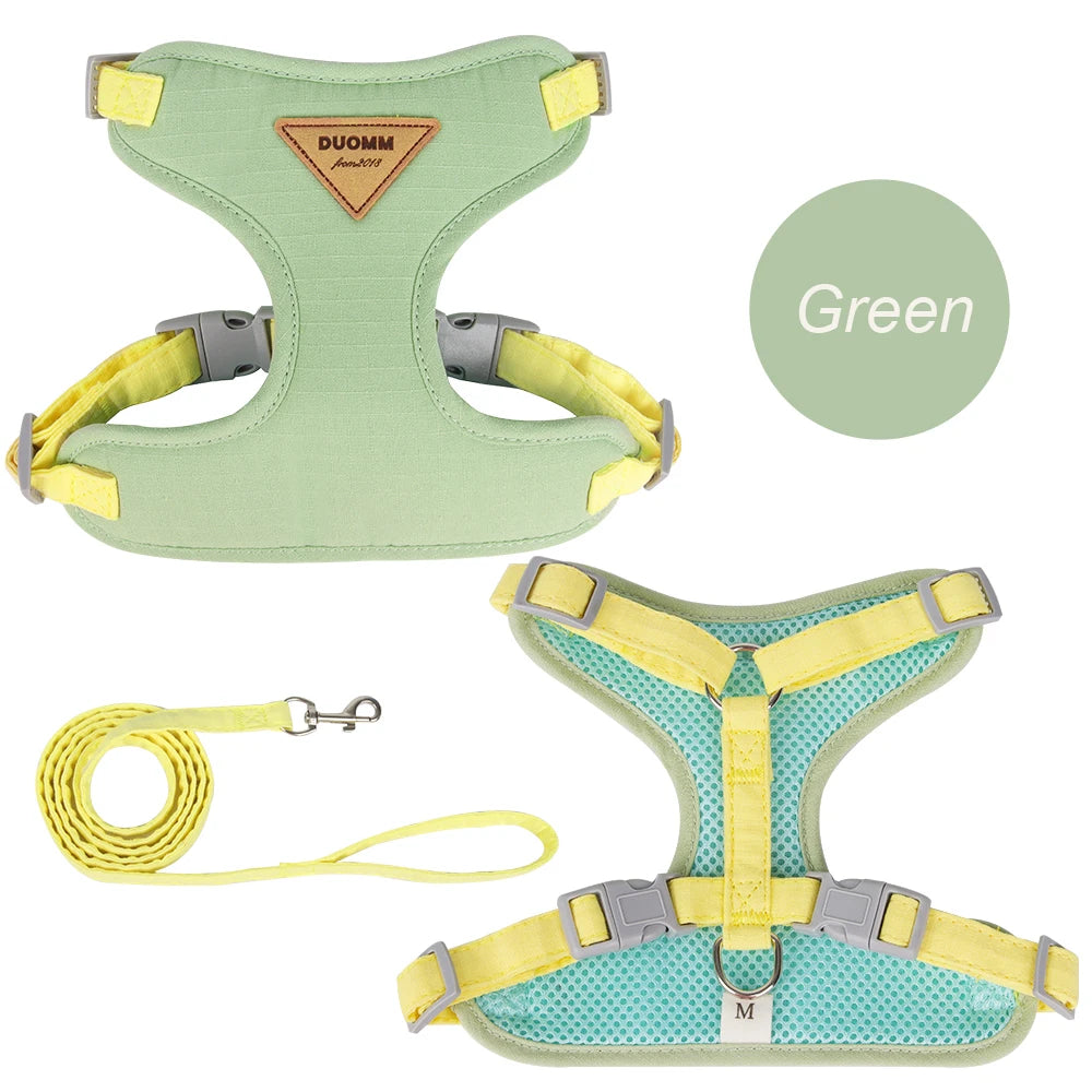 S2f381a57d774439ab5a2a2a7e77503284 - Pet Centric