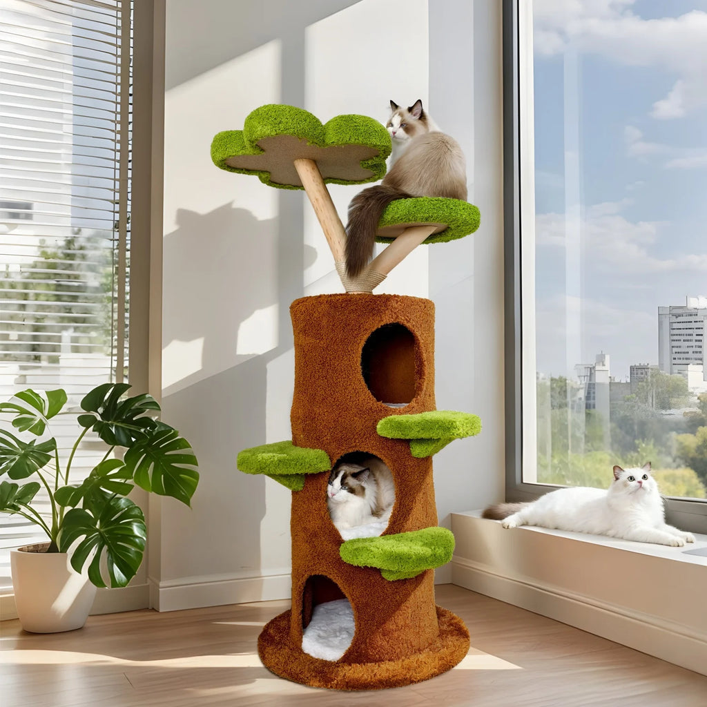 S31d6f134889e4f49b9519c95036fb624s - Pet Centric