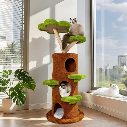 S31d6f134889e4f49b9519c95036fb624s - Pet Centric
