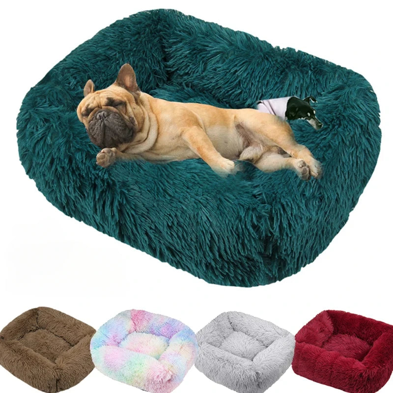 S35a106511bc2470b935cdc3c37c12048r - Pet Centric