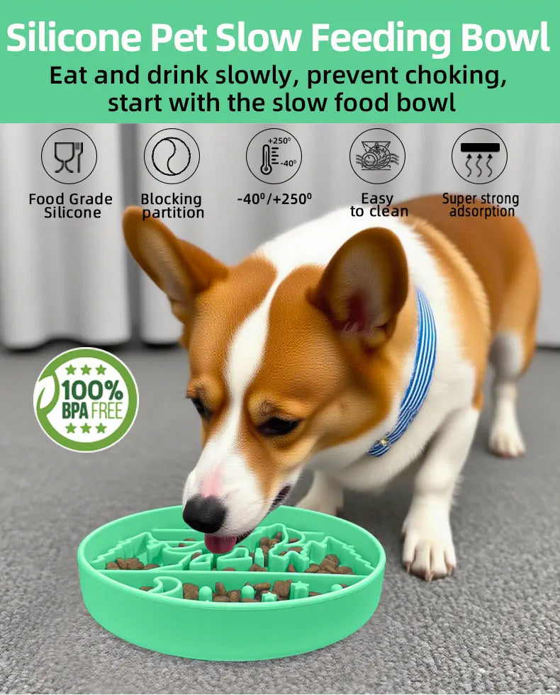 S372eeaf17a7a4a85afe5f55a267479e1J - Pet Centric