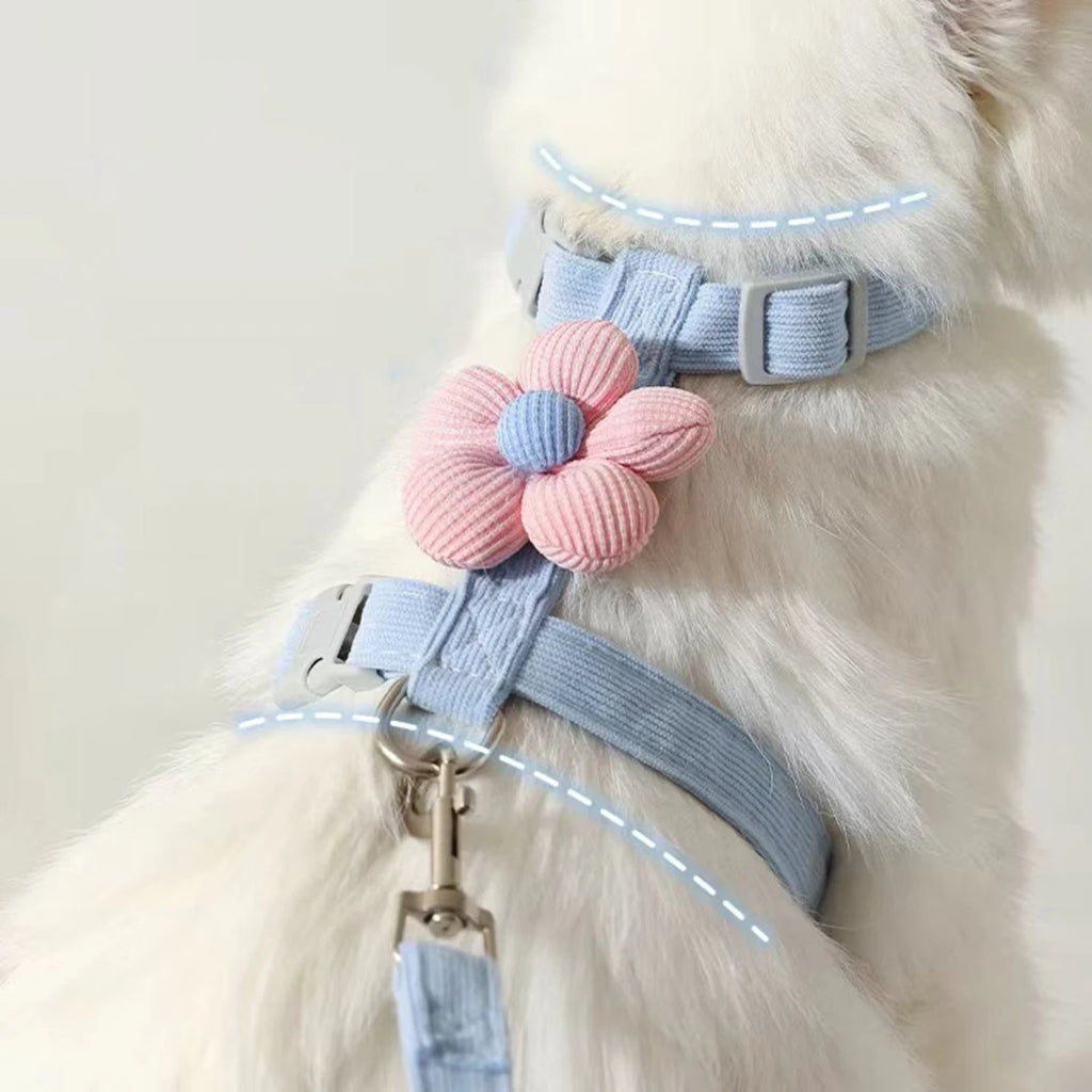 S37fd1a6eb1f04957bb78ec7d01c03536b - Pet Centric