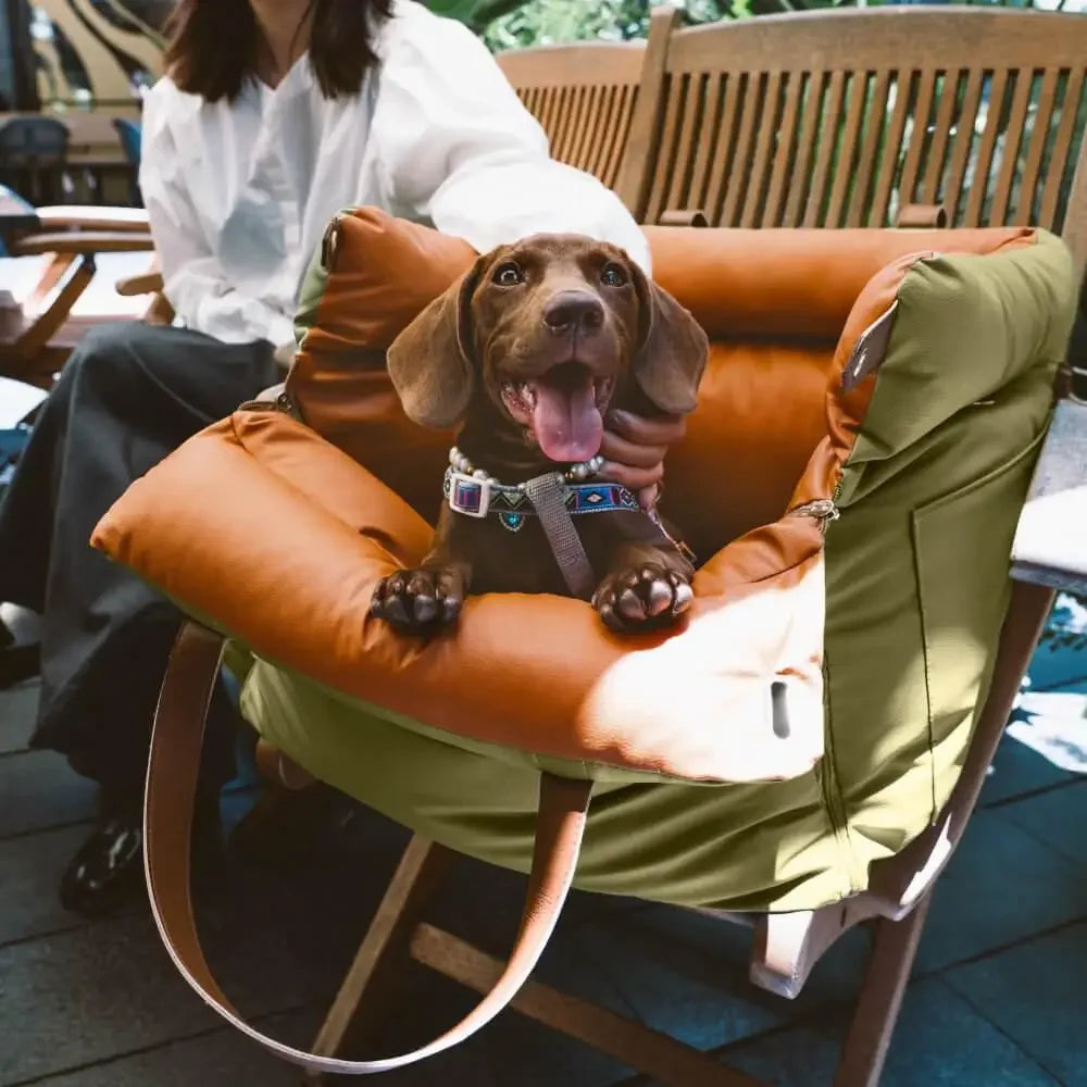 S3ae85f1046514f9a9e2eea33aad2d5caA - Pet Centric