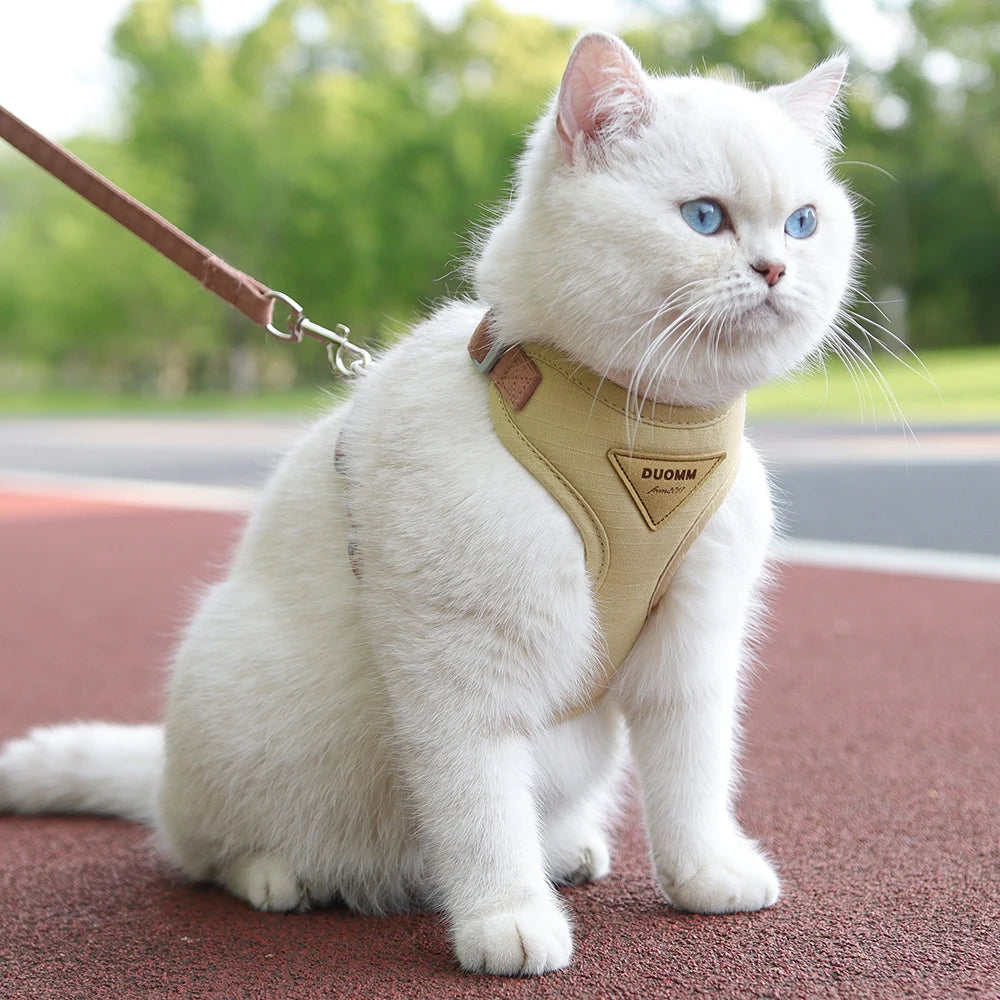 S3e1b3b7d8a3741d38e704e89bf4091160 - Pet Centric