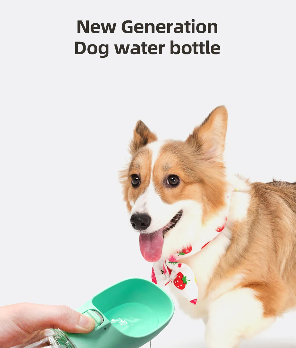 S420f576157764871a282745675df752dJ - Pet Centric