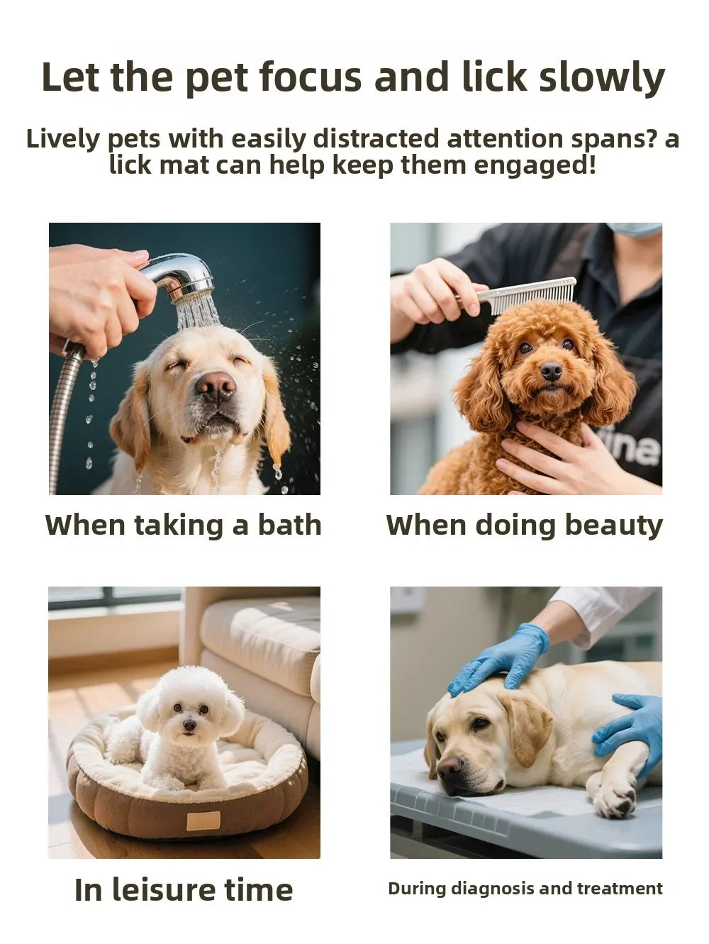 S437925a2963d41a6942d2e8940701ebbJ - Pet Centric