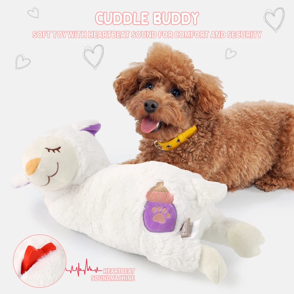 S4583724c52b148ddb02d9eae5cf678d5z - Pet Centric