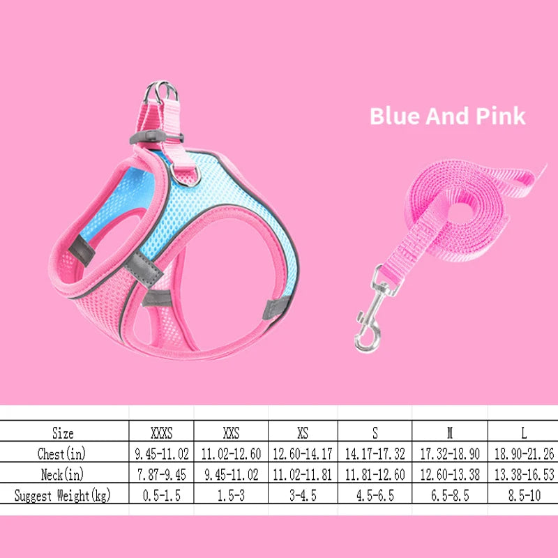 S45d9f818cb6145b8917bde561803208ek - Pet Centric
