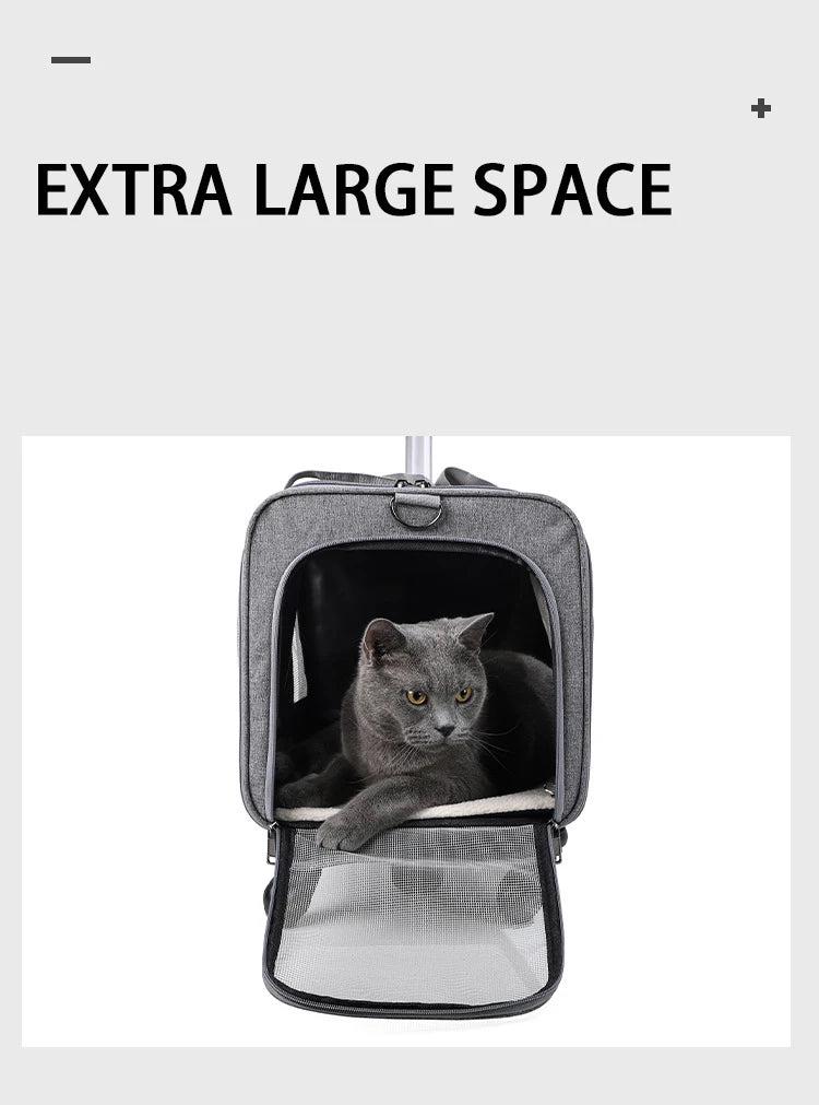 S49f00dab695e4b60bdc9aa9bf1fe16e4v - Pet Centric