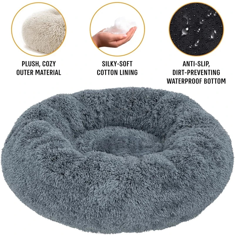 S4bc3ef9f049042f891d69f505f39cccdu - Pet Centric