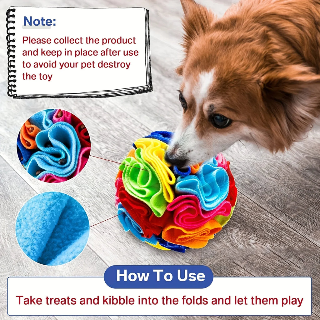 S4deba17ce0af41ad949441903660968an - Pet Centric