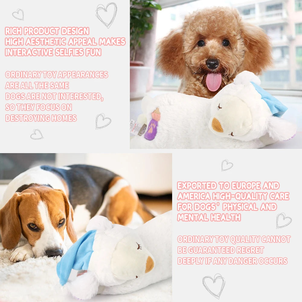 S4df0a8c287c54dfba29390aba6971065l - Pet Centric