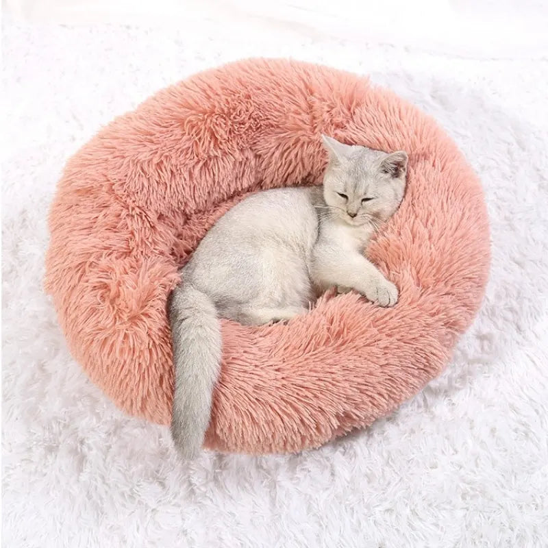 S4f4cb1d25ac342239fd0834f658064beA - Pet Centric
