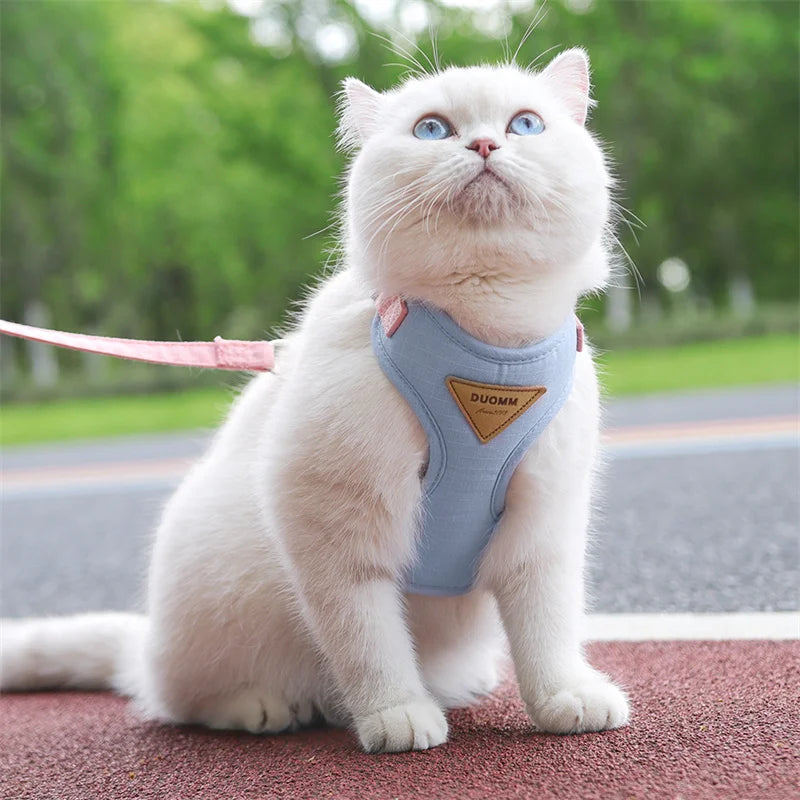 S507c9208842a484280105ec95a4217994 - Pet Centric
