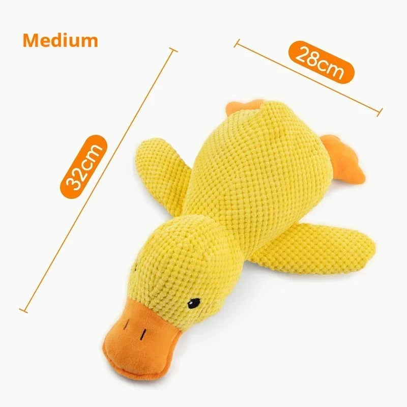 S51130db5bb4e40dbbf01379a58d4dc581 - Pet Centric