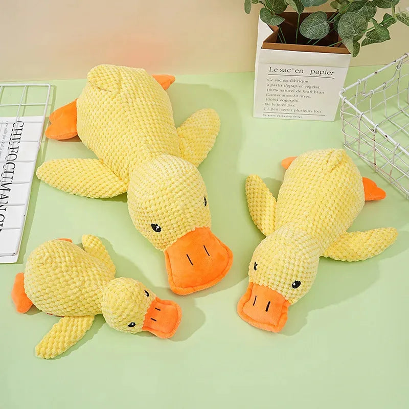 S51fc7d4f12104e40913a946ff0d8ec8e9 - Pet Centric