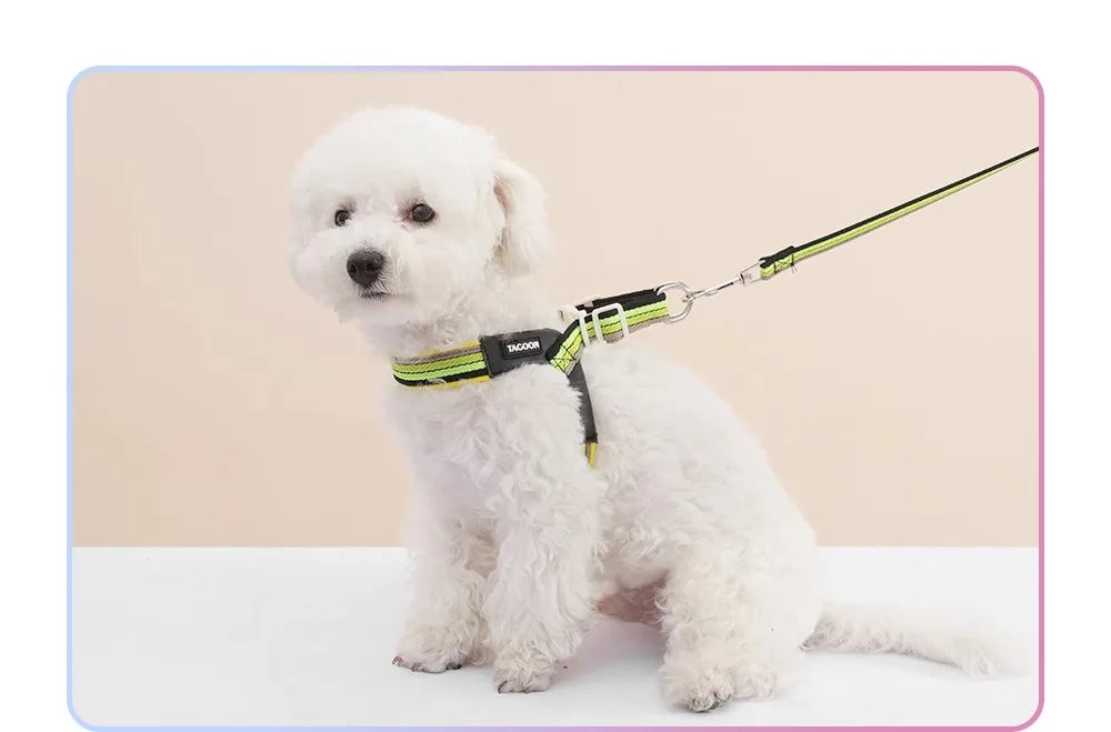 S5596eaa17ed440a684c9ddca72ce557fD - Pet Centric
