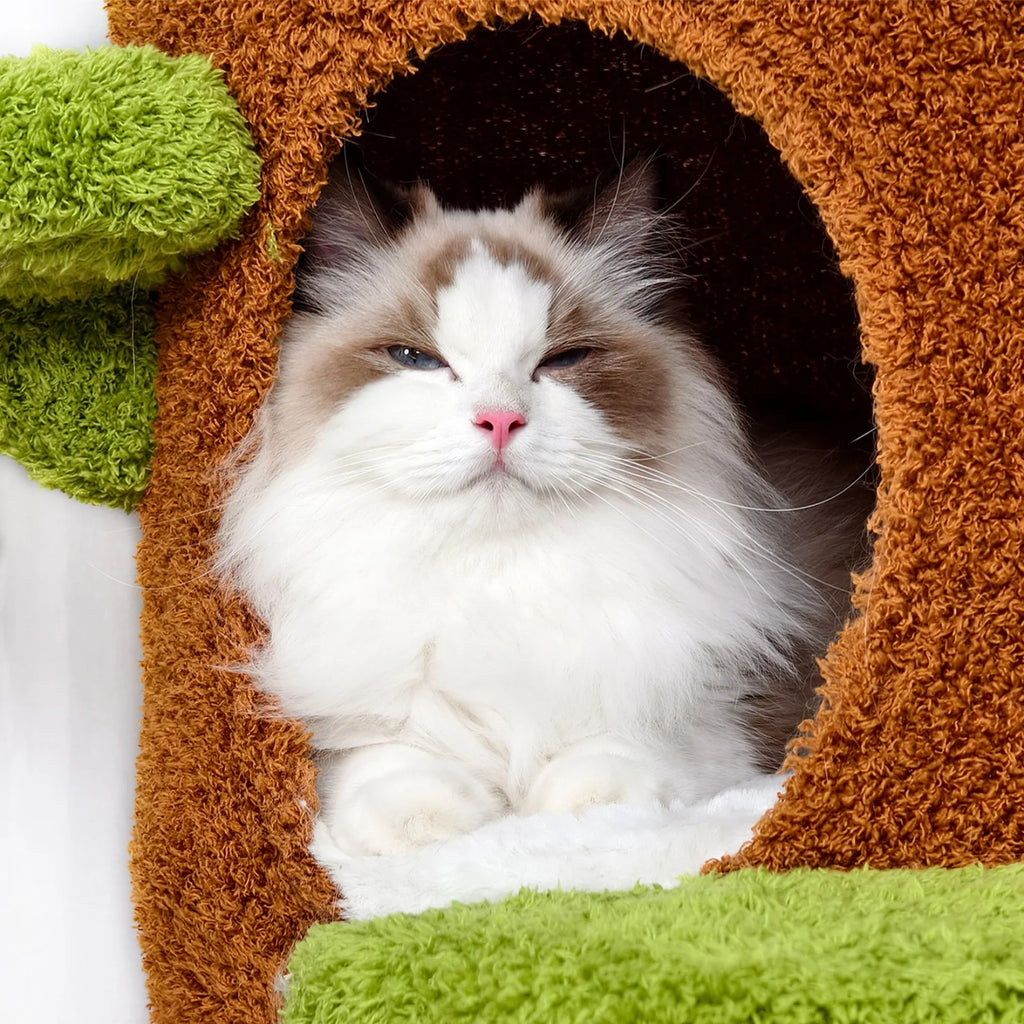 S59692043cc634fbea88de04e17656121F - Pet Centric