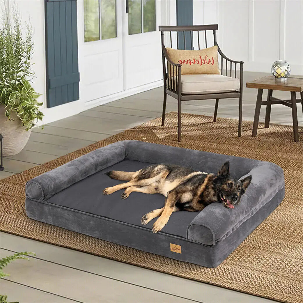 S5ad53d1feb164a3a83f77433250fc92cH - Pet Centric
