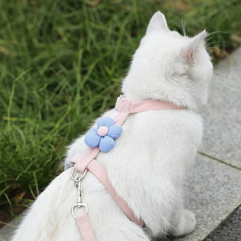 S5b4ab5ef76a147489b4550d8449f4af6Y - Pet Centric
