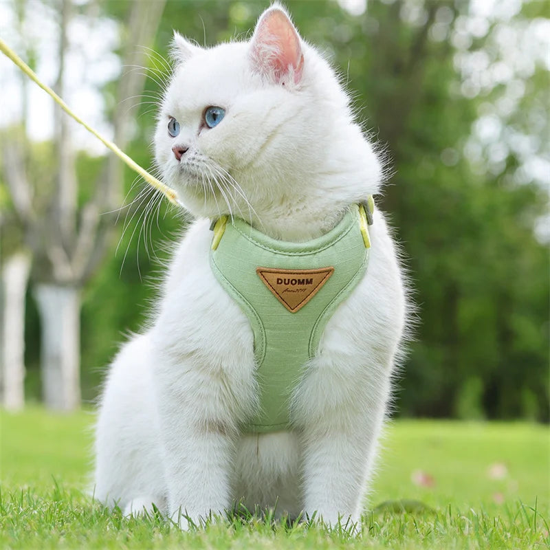 S5e4b0f85c8ce4fdd951cefd3a20b03b0I - Pet Centric