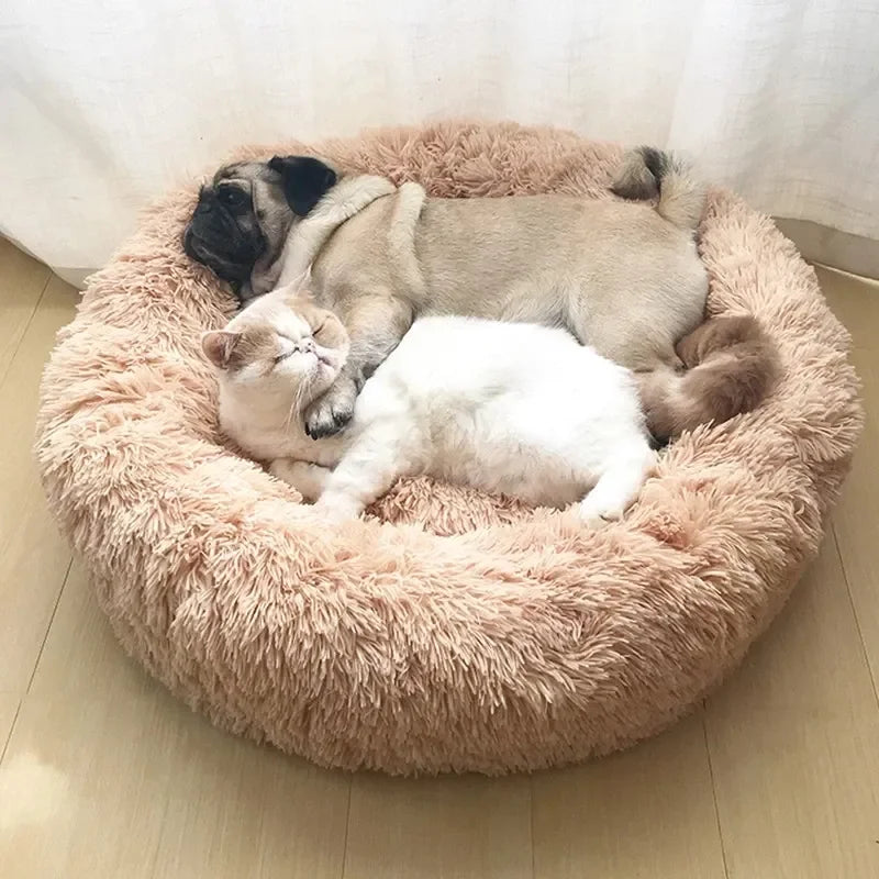 S5f49b14339e94f0291572b51620b5e22x - Pet Centric