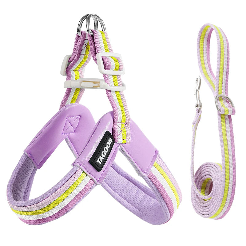 S6282e4f89c4942b9a76a56be59d64a68J - Pet Centric