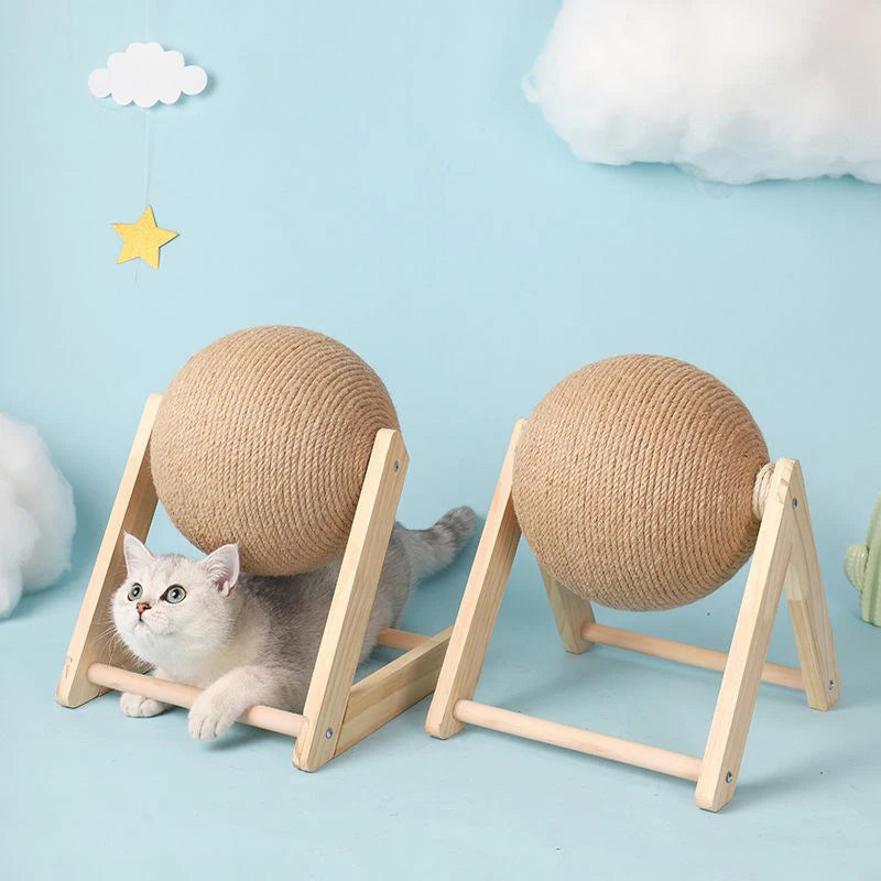 S6999536e477b4dc8b33e5f3857c75507Y - Pet Centric