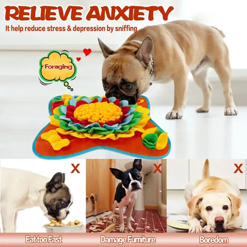 S6b22f58291684c068b33f7722ff52125q - Pet Centric